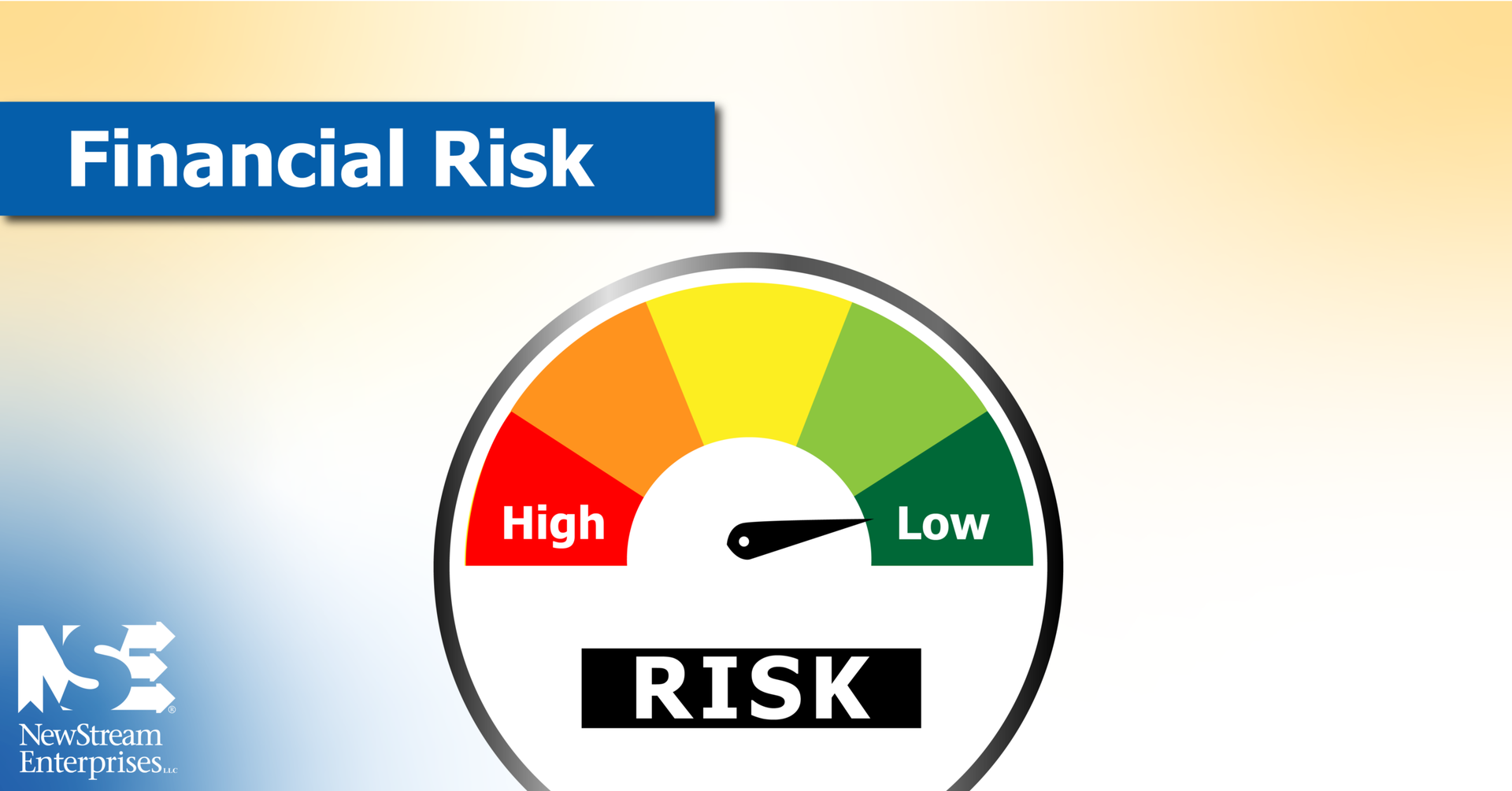 Financial Risk